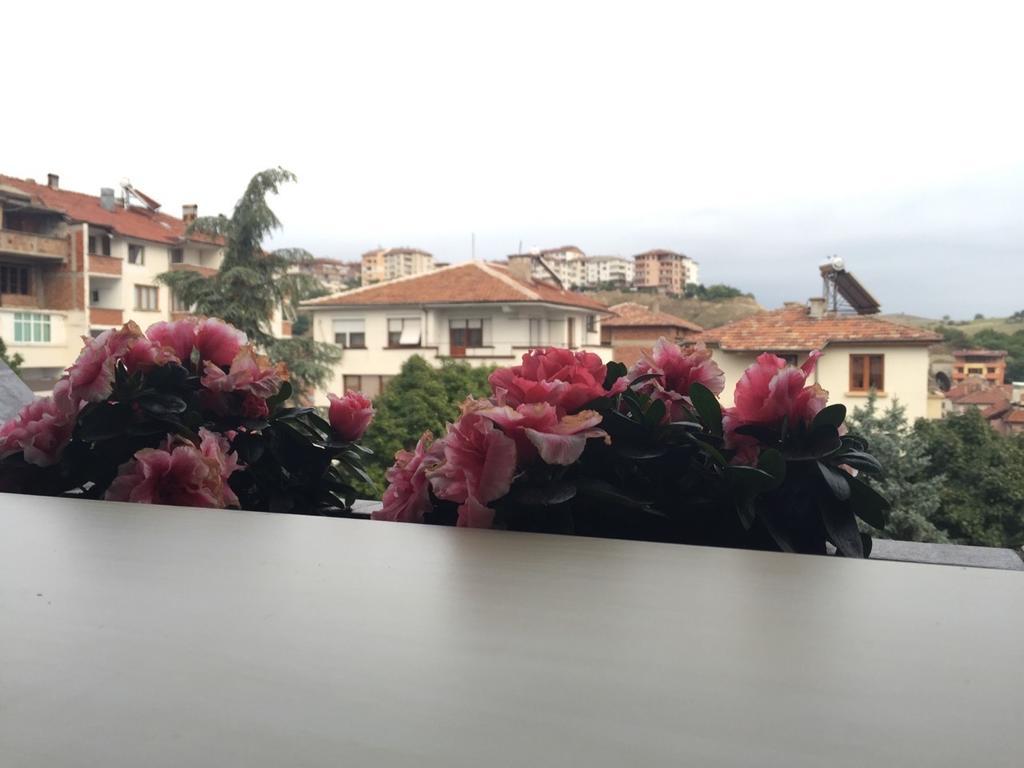 Bora Apartment Sandanski Bilik gambar